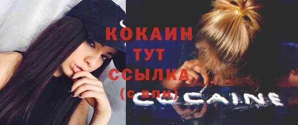 дживик Михайловск