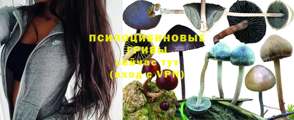 дживик Михайловск