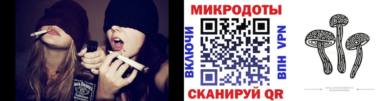 Галлюциногенные грибы MAGIC MUSHROOMS где продают наркотики Никольское